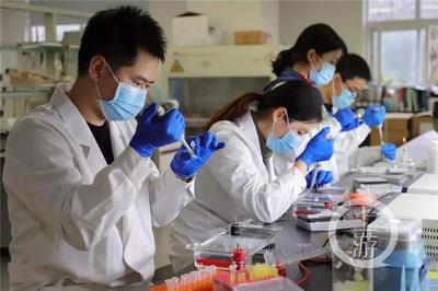 重庆医科大学成功研发新型冠状病毒免疫检测试剂盒